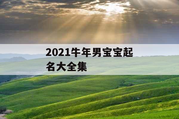 2021牛年男宝宝起名大全集