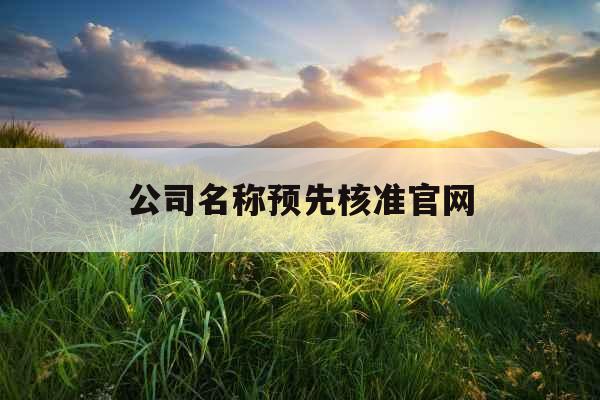 公司名称预先核准官网