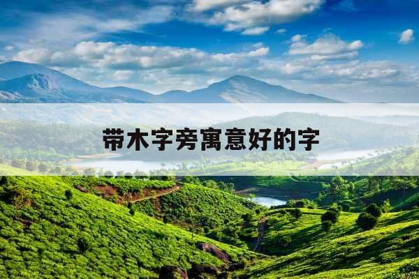 带木字旁寓意好的字