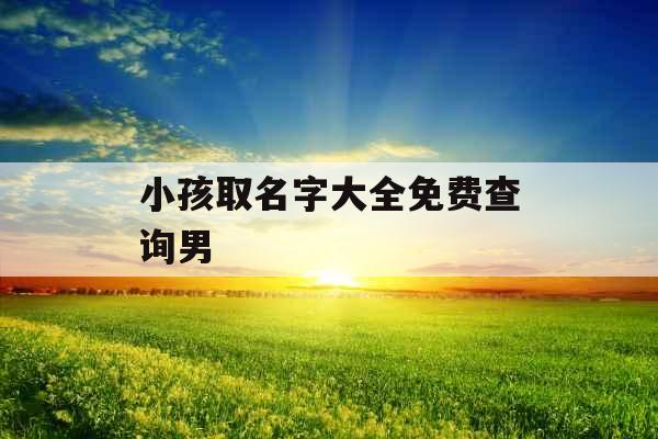小孩取名字大全免费查询男