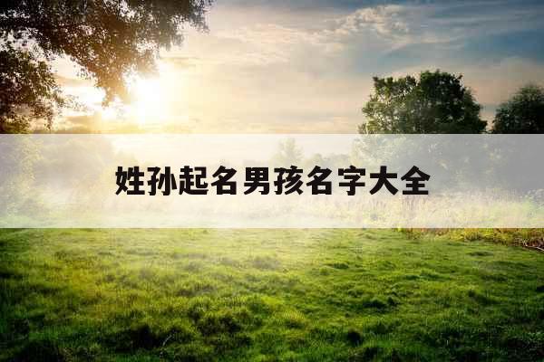 姓孙起名男孩名字大全