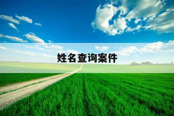 姓名查询案件
