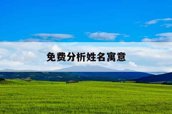 免费分析姓名寓意