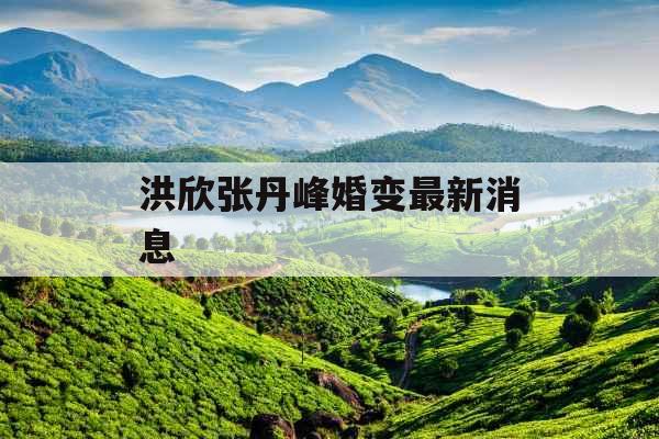 洪欣张丹峰婚变最新消息