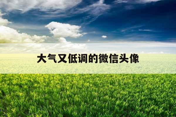 大气又低调的微信头像
