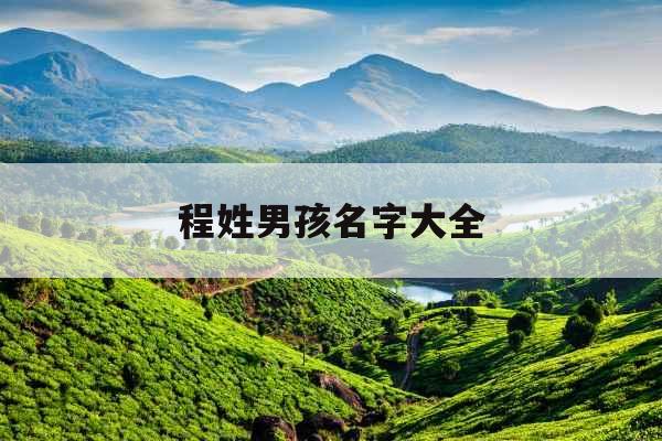 程姓男孩名字大全