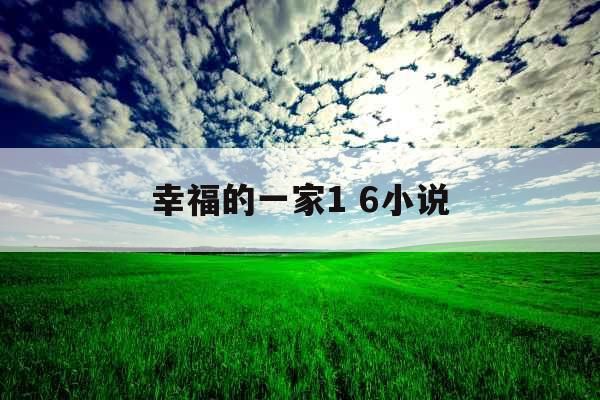 幸福的一家1 6小说