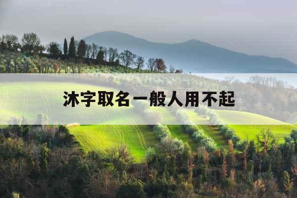 沐字取名一般人用不起