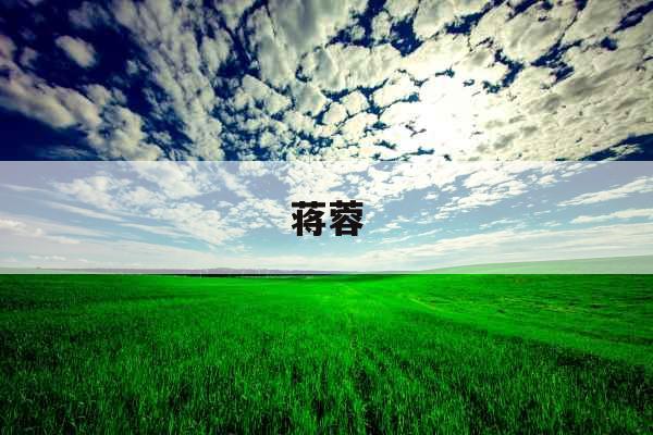 蒋蓉