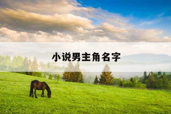 小说男主角名字