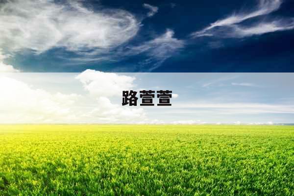 路萱萱