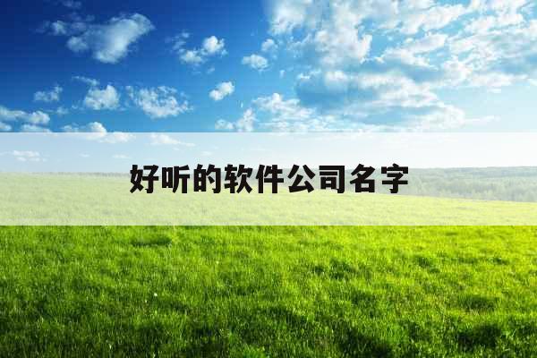 好听的软件公司名字