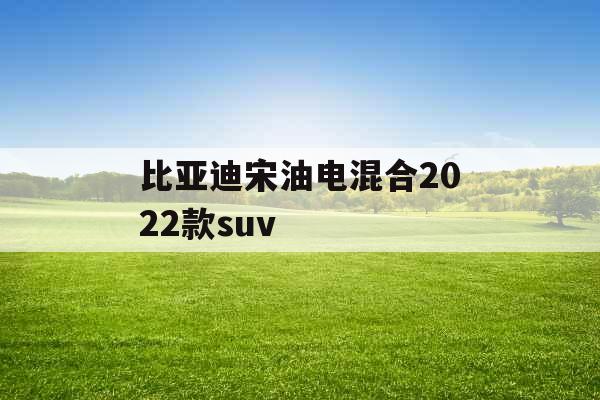 比亚迪宋油电混合2022款suv