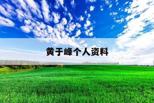 黄于峰个人资料