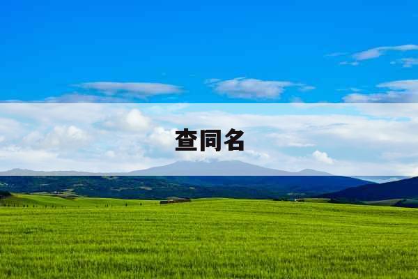 查同名