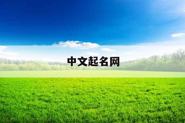 中文起名网