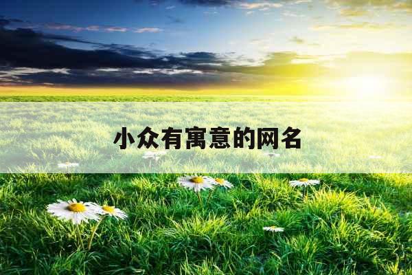 小众有寓意的网名