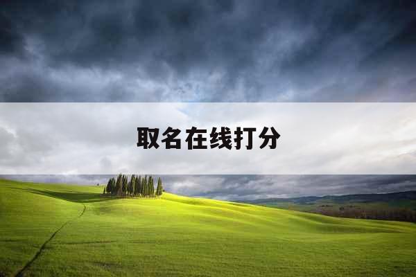 取名在线打分