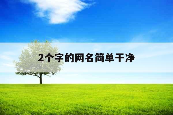 2个字的网名简单干净