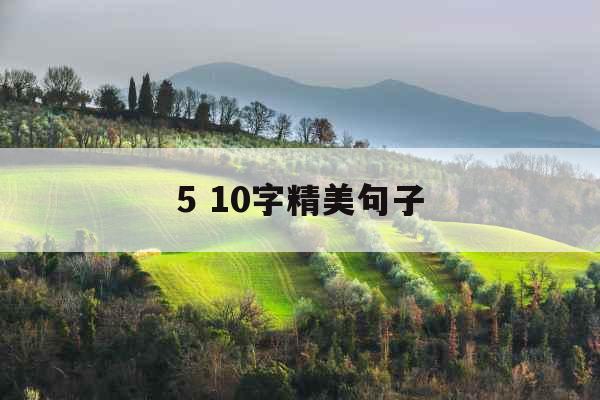 5 10字精美句子