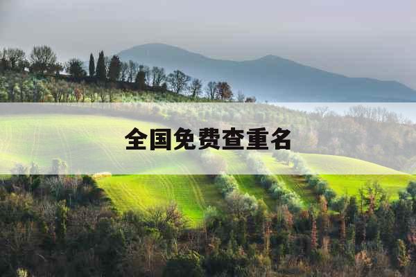 全国免费查重名