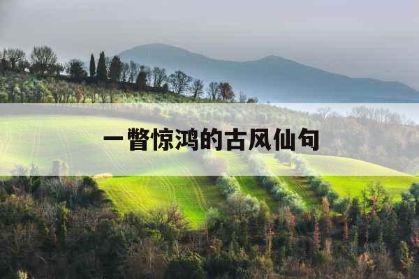 一瞥惊鸿的古风仙句