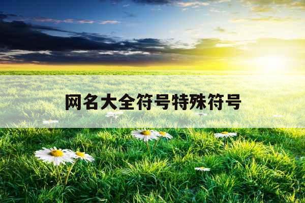 网名大全符号特殊符号