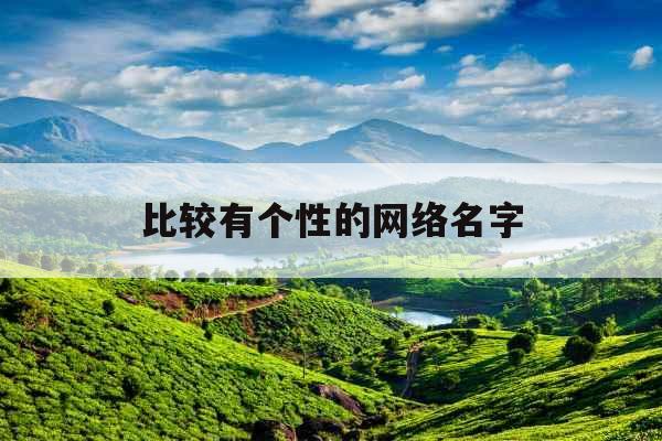 比较有个性的网络名字