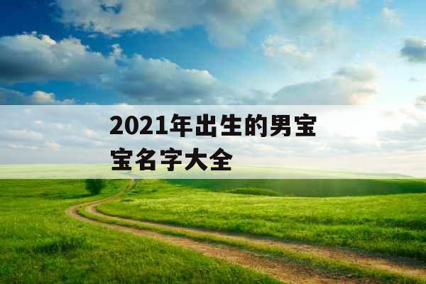 2021年出生的男宝宝名字大全