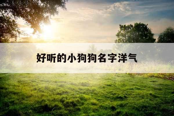 好听的小狗狗名字洋气
