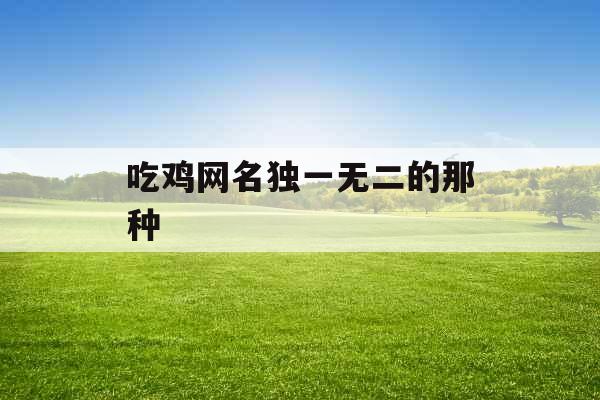 吃鸡网名独一无二的那种
