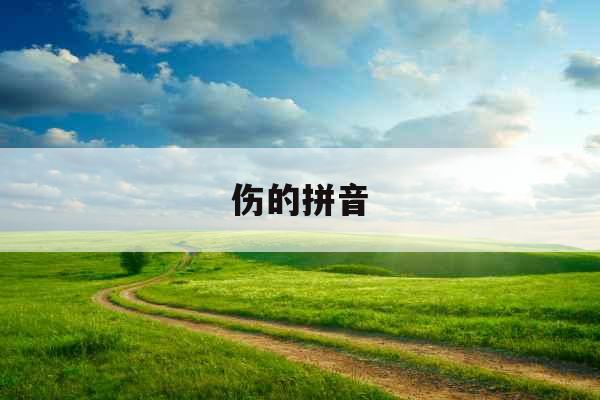 伤的拼音