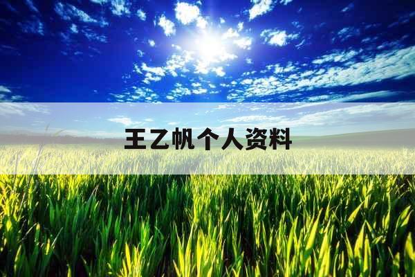 王乙帆个人资料