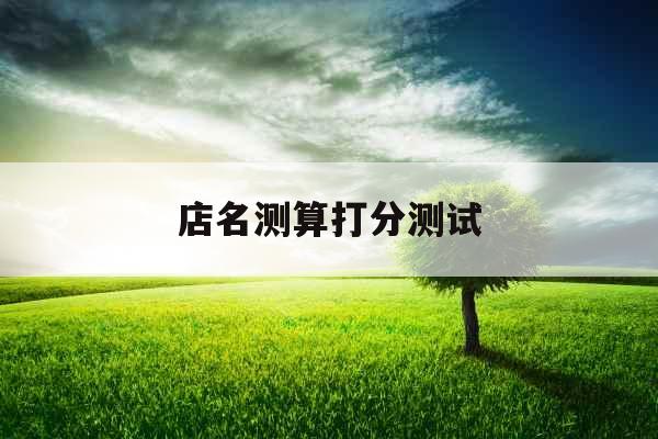 店名测算打分测试
