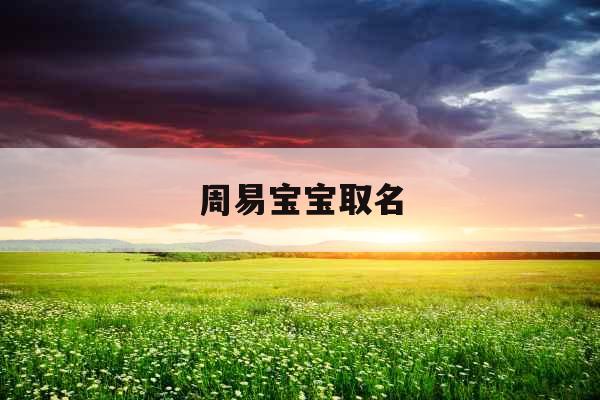 周易宝宝取名