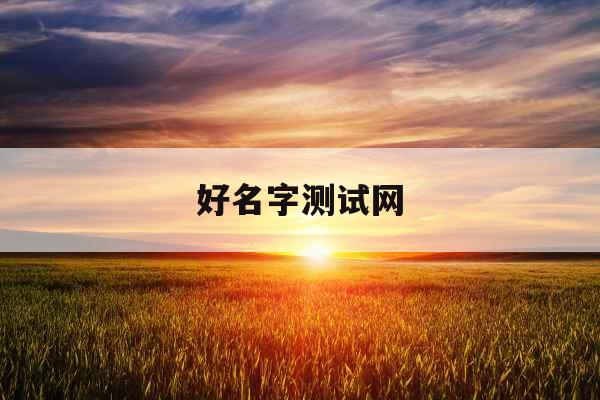 好名字测试网