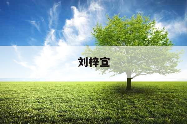 刘梓宣