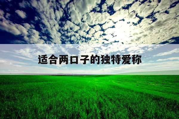 适合两口子的独特爱称