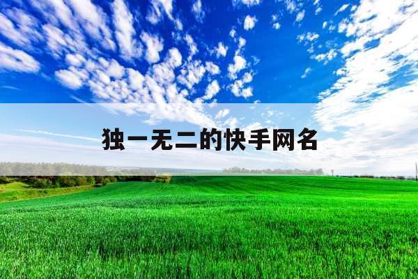 独一无二的快手网名