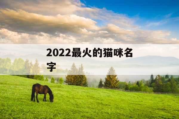 2022最火的猫咪名字