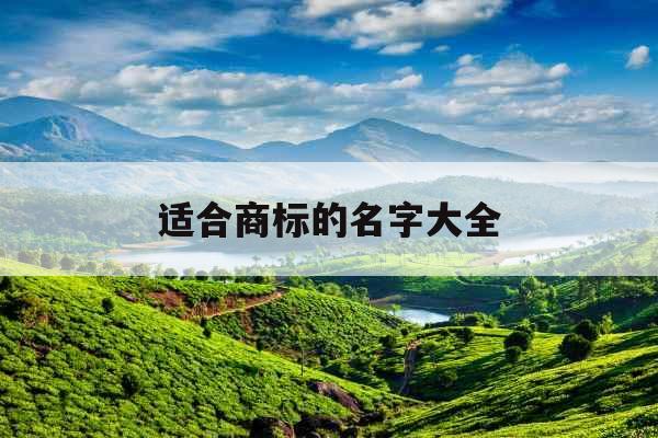 适合商标的名字大全 适合商标的名字大全