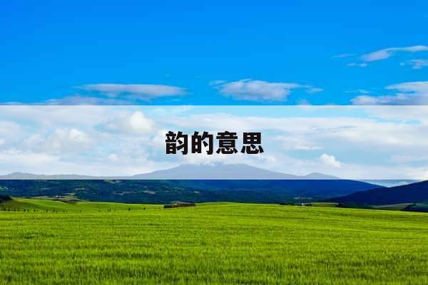 韵的意思