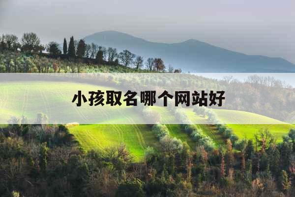 小孩取名哪个网站好