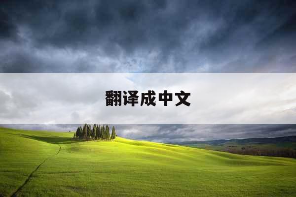 翻译成中文