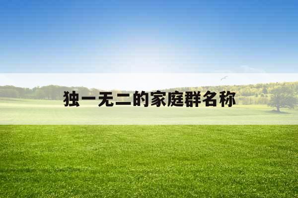 独一无二的家庭群名称