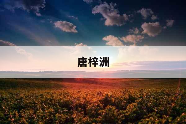 唐梓洲