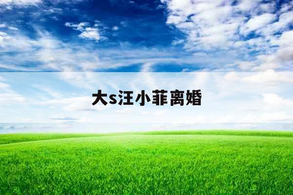 大s汪小菲离婚