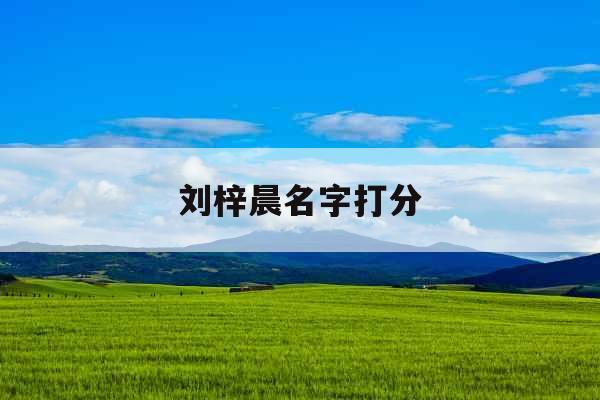 刘梓晨名字打分