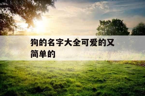 狗的名字大全可爱的又简单的