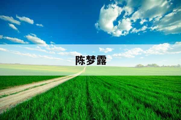 陈梦露